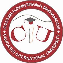 Caucasus International University